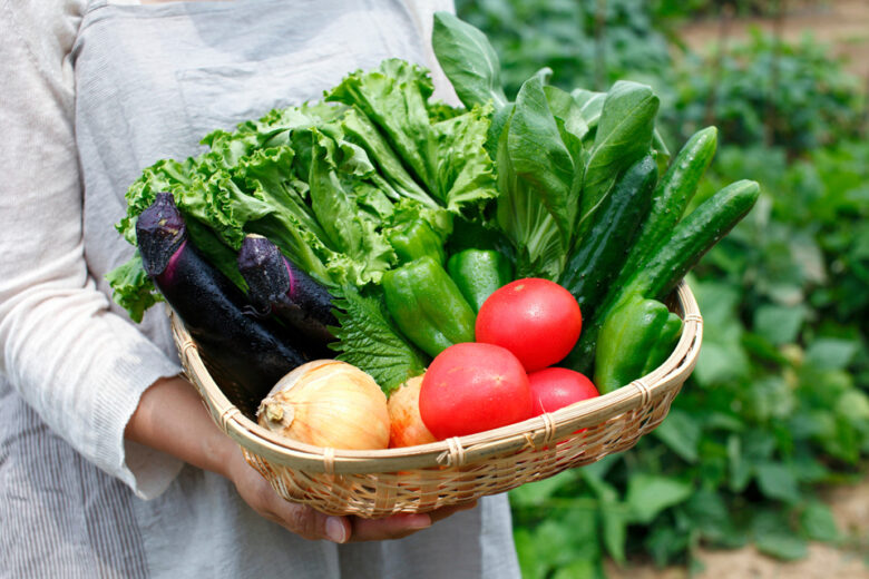 野菜盛り