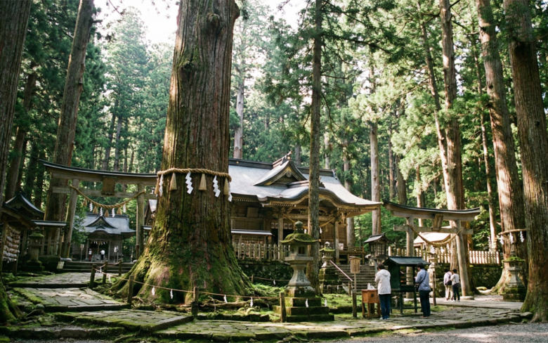 よくある神社の風景